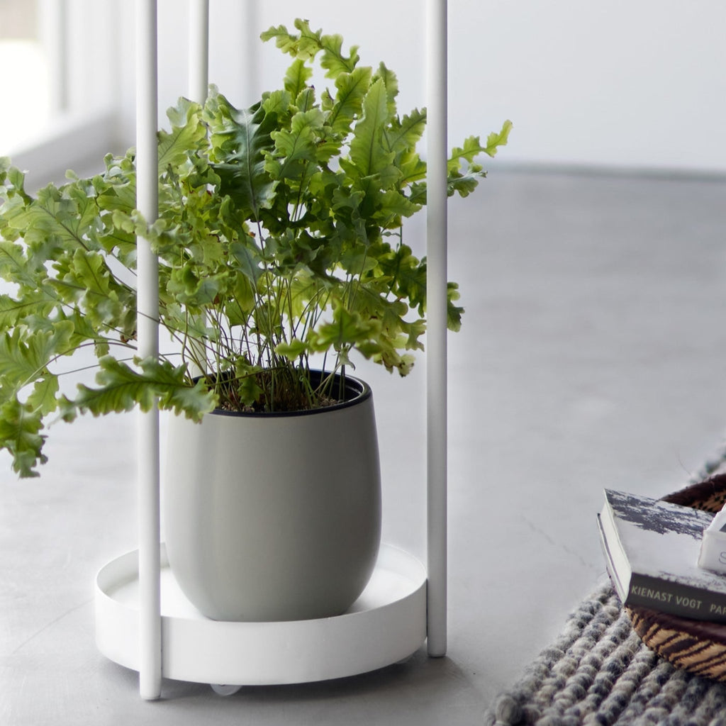 This two-tier plant stand can accommodate up to two potted plants: place a larger plant on the bottom and smaller plants on the top tier. 