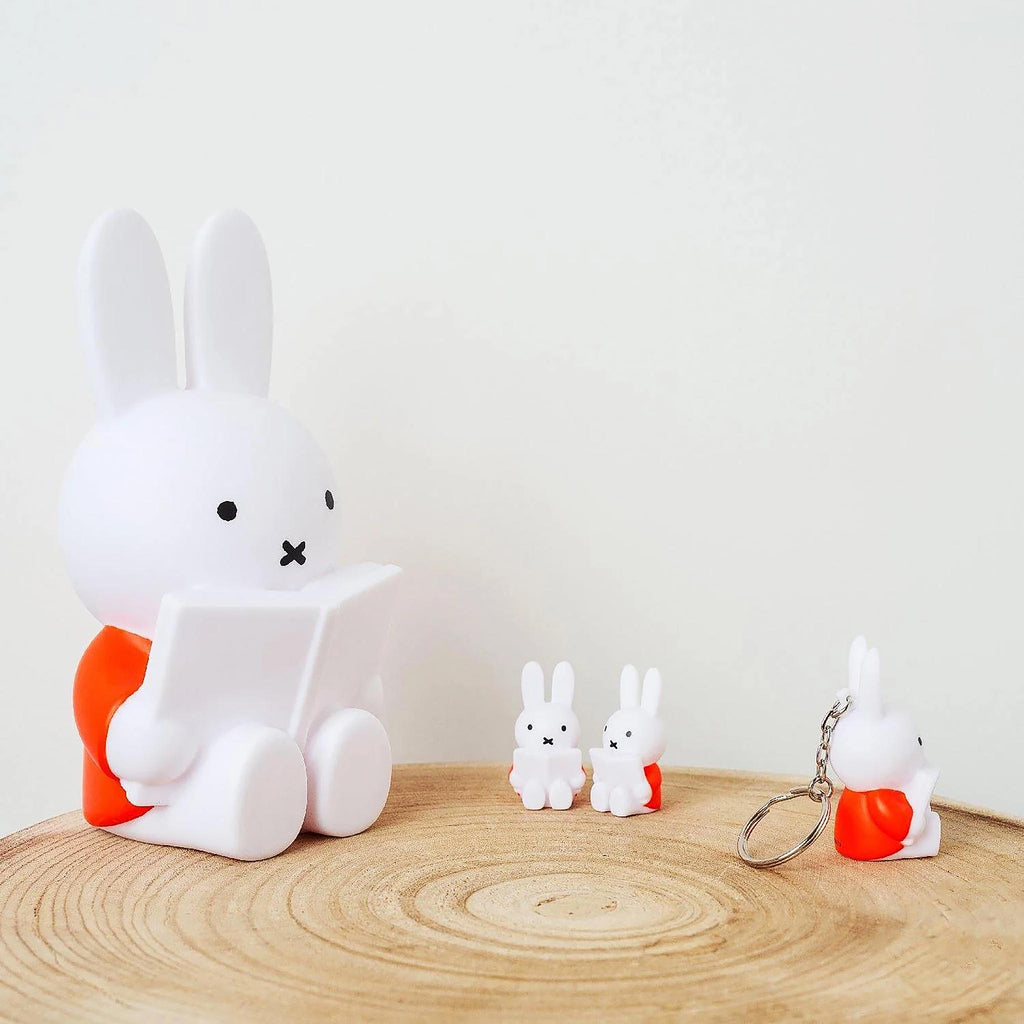 Miffy, the sweet little bunny, and her friend, Boris, are now available in cute money banks in a variety of colors and shapes. The perfect maternity gift or gift for a birthday for both boys and girls! 