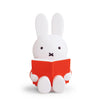 Miffy, the sweet little bunny, and her friend, Boris, are now available in cute money banks in a variety of colors and shapes. The perfect maternity gift or gift for a birthday for both boys and girls! You can also combine the different sizes and colors and put together your own Miffy and Boris family.