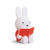 A Miffy or Boris money box is a perfect gift to share the relevance of saving with our children, and it can also be a cute little decoration on your bookshelf or on your work desk! 