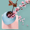 Coasters : Pebbles - Blush Set of 4. Inspired by nature & made with plastic-free silicone, the modern-twist pebbles print coaster set brings functional elegance directly to your table. The soft, beautifully translucent pattern enhances any surface while keeping harsh chemicals far away from your family. 