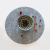 Round Placemat : Linen - Denim By Modern-Twist. UPC# 854796002027. Made from plastic-free silicone & hand silk-screened with nature-inspired designs, the modern-twist cocoon print placemat delivers eco-friendly, elegant style to your home. All modern-twist products are made with 100% pure, food-grade silicone that is European & FDA compliant.