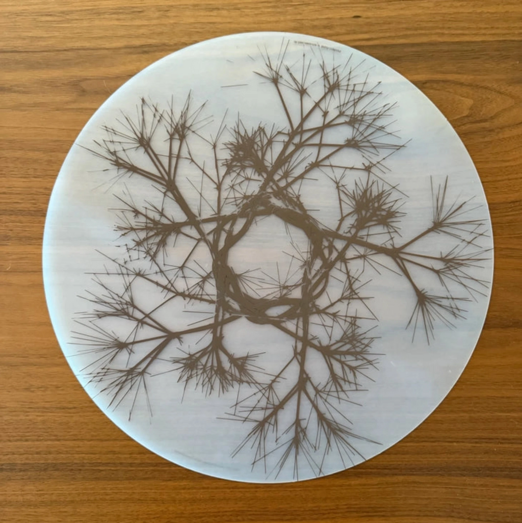 Modern-Twist Round Placemat : Asawa Nest. UPC# 854796002362. All modern-twist products are made with 100% pure, food-grade silicone that is European & FDA compliant. Bring botanical beauty to your table with this soft, beautifully translucent pattern that enhances any surface while keeping lead, latex, phthalates, BPAs, & other harsh chemicals far away from your dinner. 