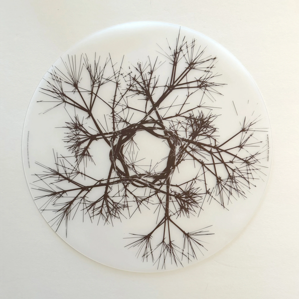 Made from plastic-free silicone & hand silk-screened with nature-inspired designs, the modern-twist cocoon print placemat delivers eco-friendly, elegant style to your home. Bring botanical beauty to your table with this soft, beautifully translucent pattern that enhances any surface while keeping lead, latex, phthalates, BPAs, & other harsh chemicals far away from your dinner. UPC# 854796002362