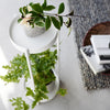 Specifically designed for indoor use, we recommend keeping this plant stand away from the elements. Create a layered effect by adding plants to both tiers and enjoy seamless integration with minimalistic, mid-century modern, farmhouse, or other popular home aesthetics.
