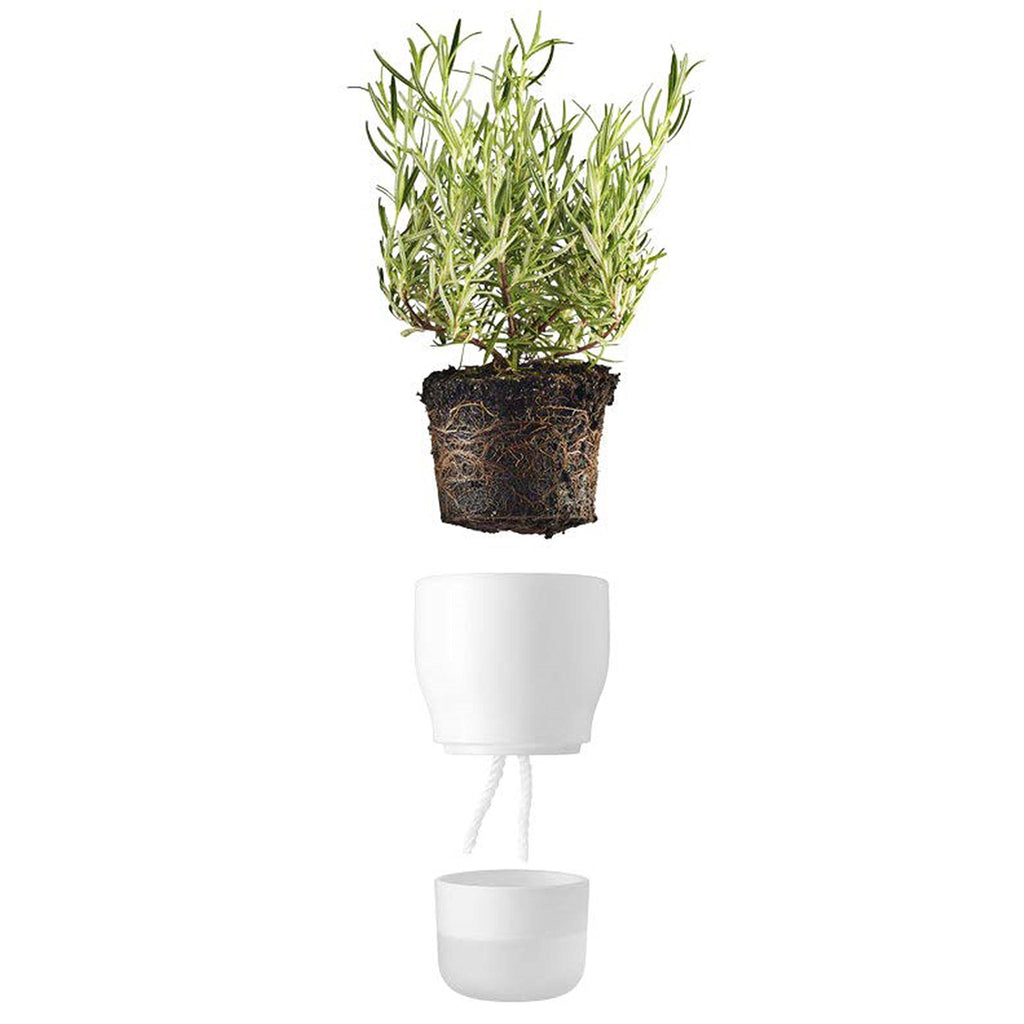 evi plant pot Eva Solo Self-Watering Herb Pot by Claus Jensen and Henrik Holbæk– Abode New York