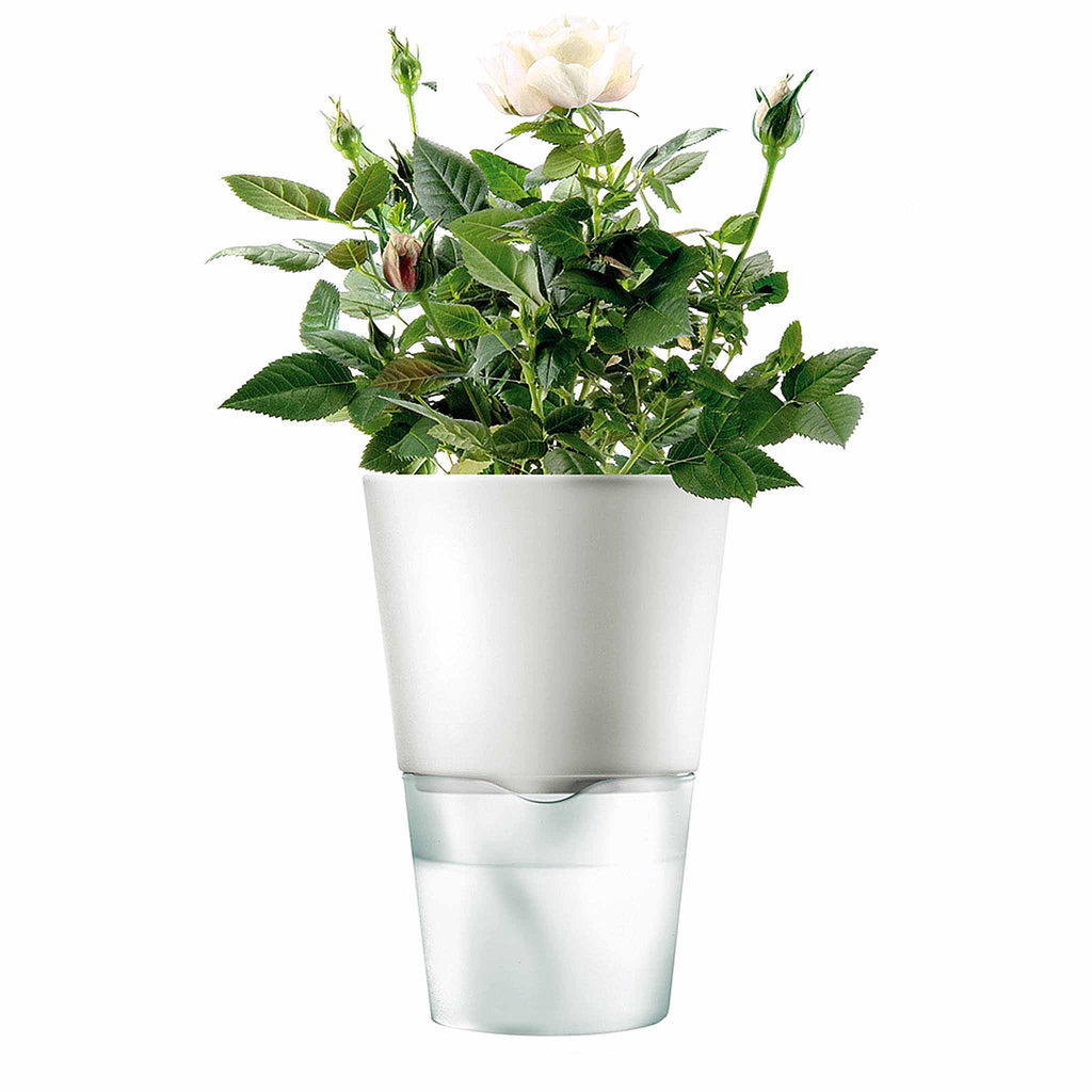 Eva Solo Selfwatering Herb Pot 13cm in Chalk White. SKU 568203. UPC 5706631006675. The system behind the self-watering pot is both simple and functional. Once the watering system has been established, the plant will look after itself most of the time. 