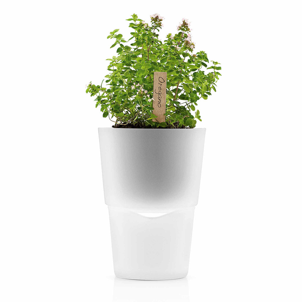 Eva Solo Selfwatering Herb Pot 13cm in Chalk White. SKU 568203. UPC 5706631006675. All you have to do is to remember to look at the pot every now and then and refill the water reservoir as required. And it only takes a moment to see whether the reservoir needs water. This way, plants have optimum growing conditions, which is good for the plant – and for you!