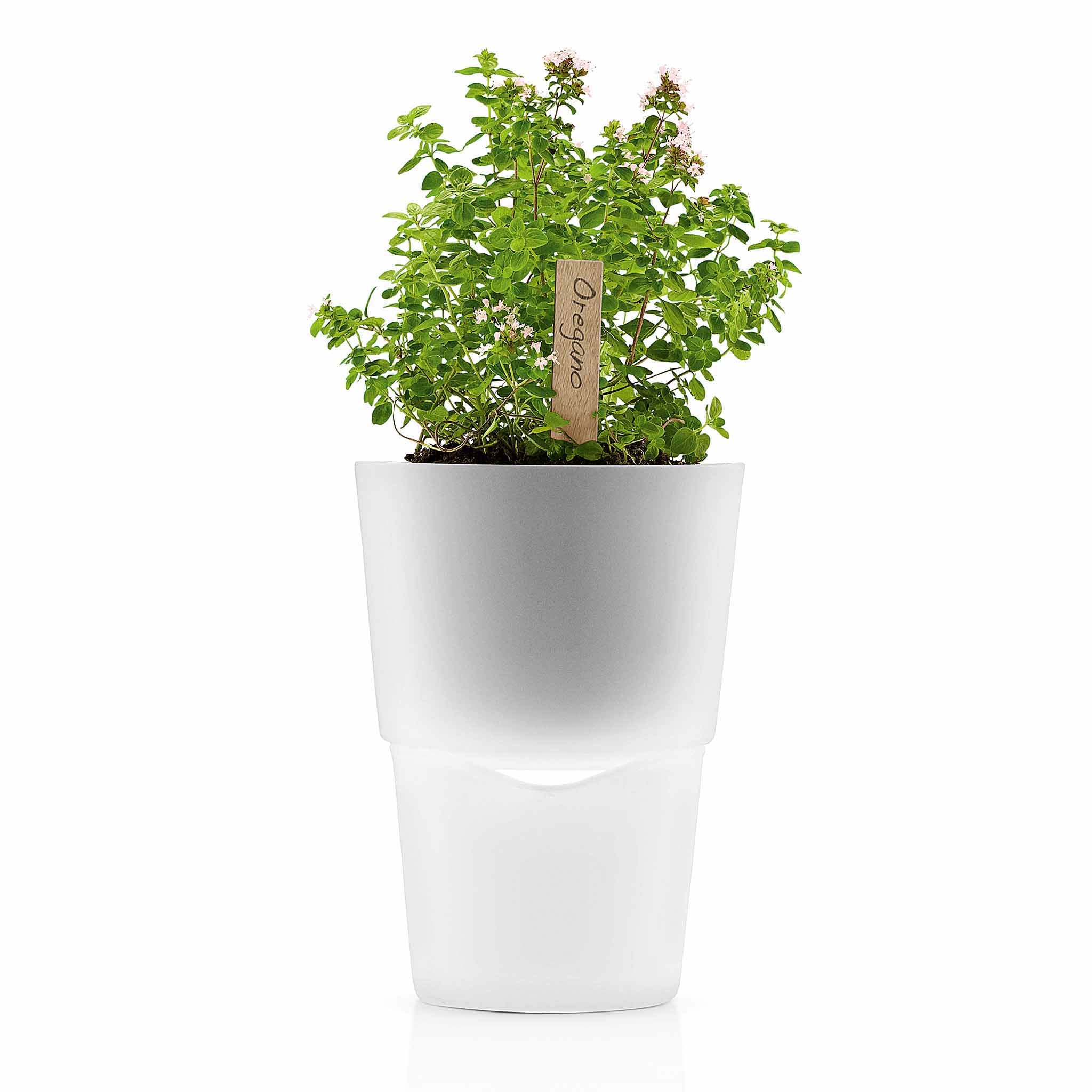 Eva Solo Zelfwatergevende Herb Organizer, Zwart