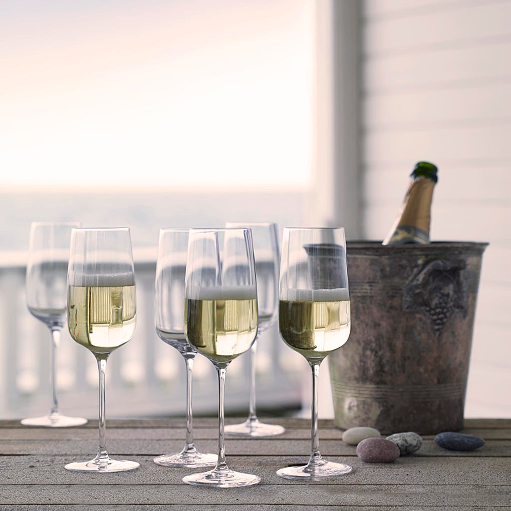 HOLMEGAARD BOUQUET CHAMPAGNE GLASS 6 PCS., 29 CL each. 4803115. 22cm height. 29 cl each.