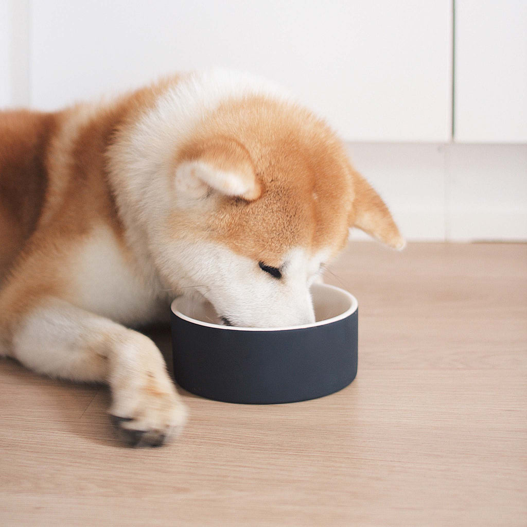 The prolonged chewing helps the pet’s dental hygiene by producing more saliva and promoting healthy gums and teeth.