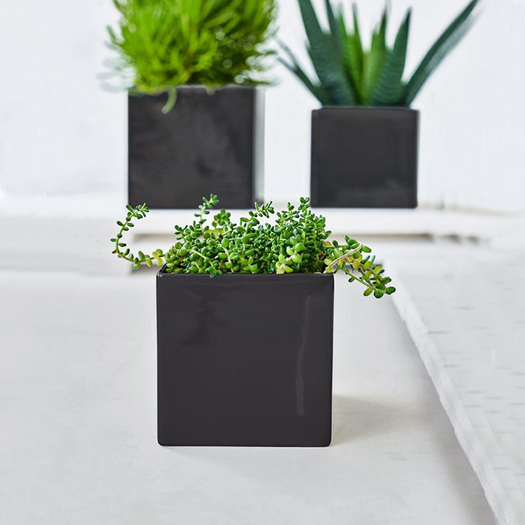 Quadro Classic vases and cache pots are classic designs of the highest order. Its angular form is just as pure as its minimalistic black and white color scheme. 