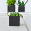 Quadro Classic vases and cache pots are classic designs of the highest order. Its angular form is just as pure as its minimalistic black and white color scheme. 