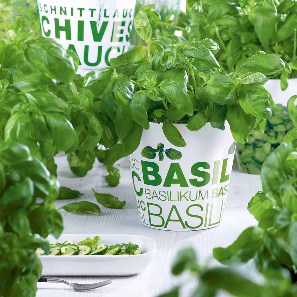 Discover kitchen accessories from ASA Selection. In the kitchen assortment of ASA Selection you can discover kitchen utensils that will make your cooking and baking experience a highlight. Kitchen accessories from ASA Selection beautify both your kitchen and your dining table. 