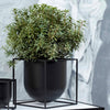 Herb pot, vase or a simple container. The possibilities are endless. Another addition to the Kubus collection, Kubus Flowerpots come in three different sizes: Flowerpot 10, designed by Soren Lassen and Sarah Abbondio; Flowerpot 14; and Flowerpot 23, designed by Soren Lassen.
